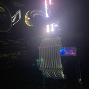 rtx3080ti 기가바이트 어로스 마스터