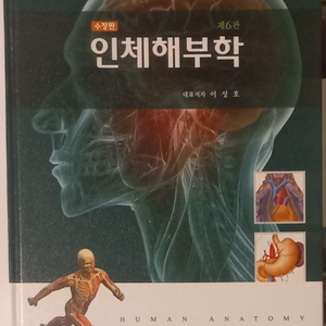 인체해부학 6판 현문사