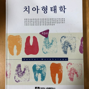 치위생과 치아형태학-대한나래출판사