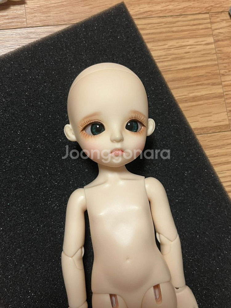 구체관절인형 usd 리나슈슈 데이지 판매!--1