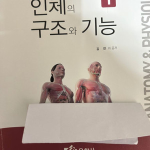 인체의 구조와 기능