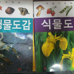 예림당 초등자연관찰 4권-20,000원(착불)