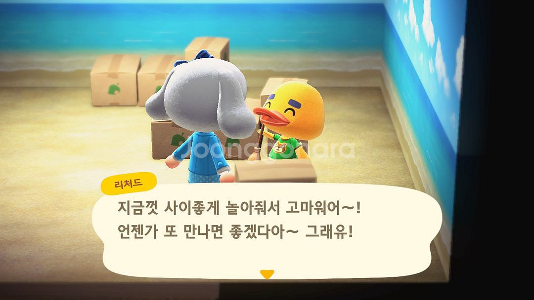닌텐도 스위치 순정 모동숲 주민 현금분양 거래 이 | 닌텐도 | 중고나라 닌텐도 스위치 순정 모동숲 주민 현금분양 거래 이 | 닌텐도 | 중고나라
