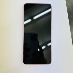 갤럭시s21플러스