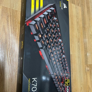 커세어 k70 lux 적축