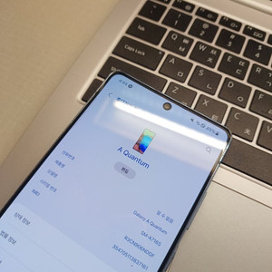 갤럭시 A 퀀텀 (A71)