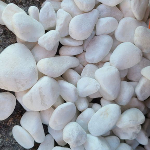 백자갈 20-30mm 1톤