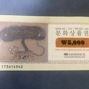 문상5000