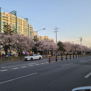 택시양수교육 양도합니다