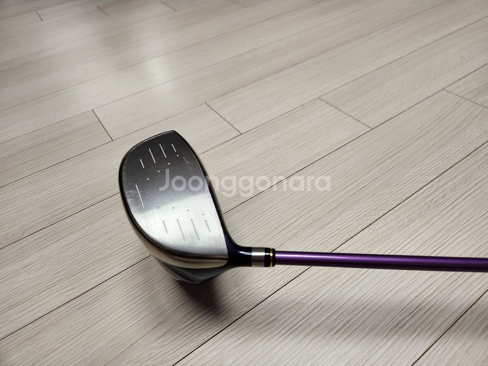 다이와 여성드라이버--3