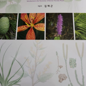 식물분류학개론 새책 정가4만원