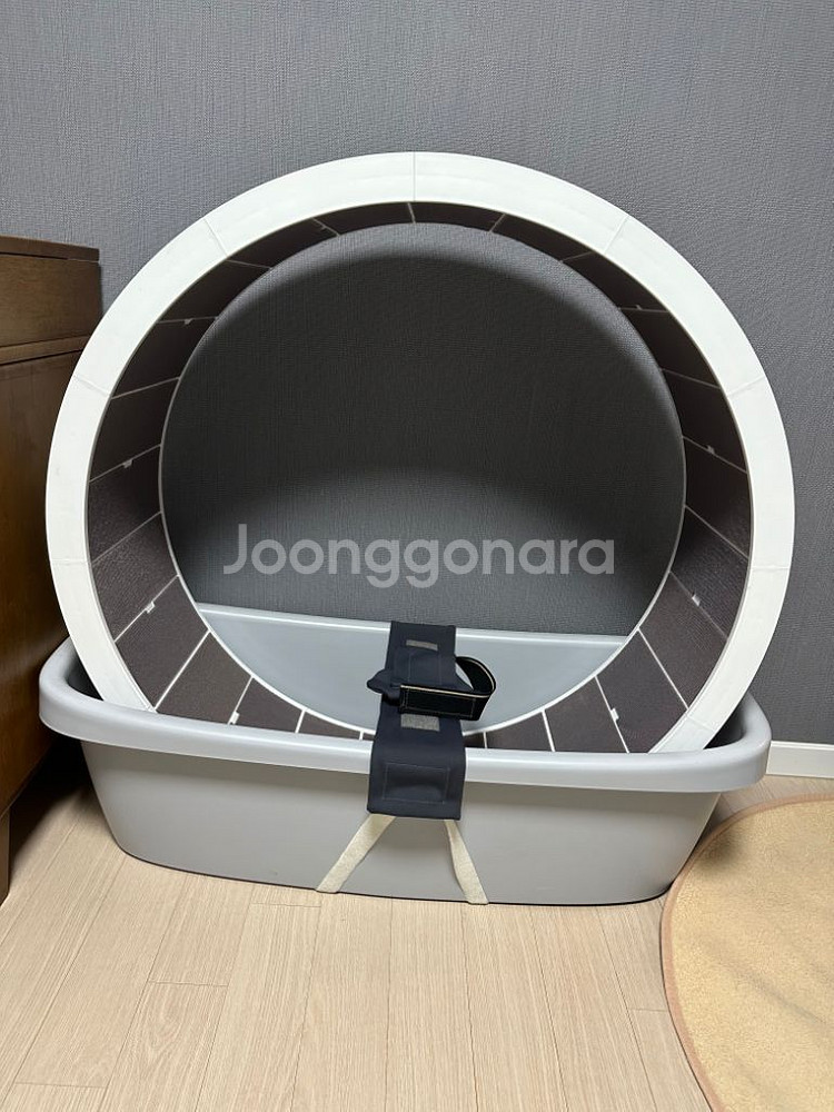 세컨드포우 강아지 수중재활 워터스텝 팝니다.--0