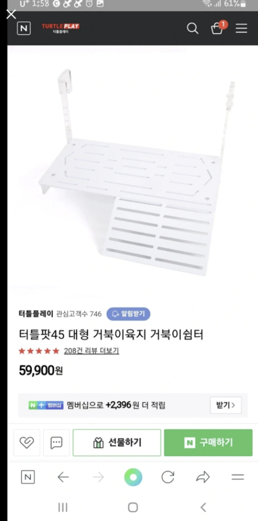 터틀팟45 거북이육지--2