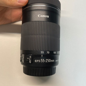 캐논 55-250mm stm 헝그리망원