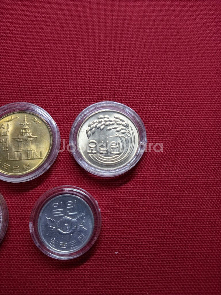77년10원--6