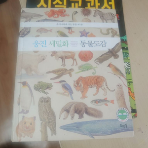 동물도감