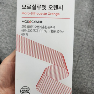 모로실루엣오렌지 피토틱스