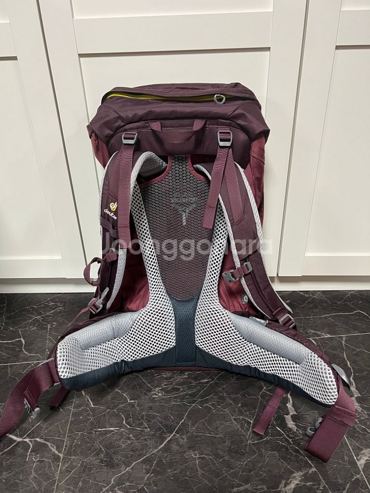 도이터푸트라프로34SL--1