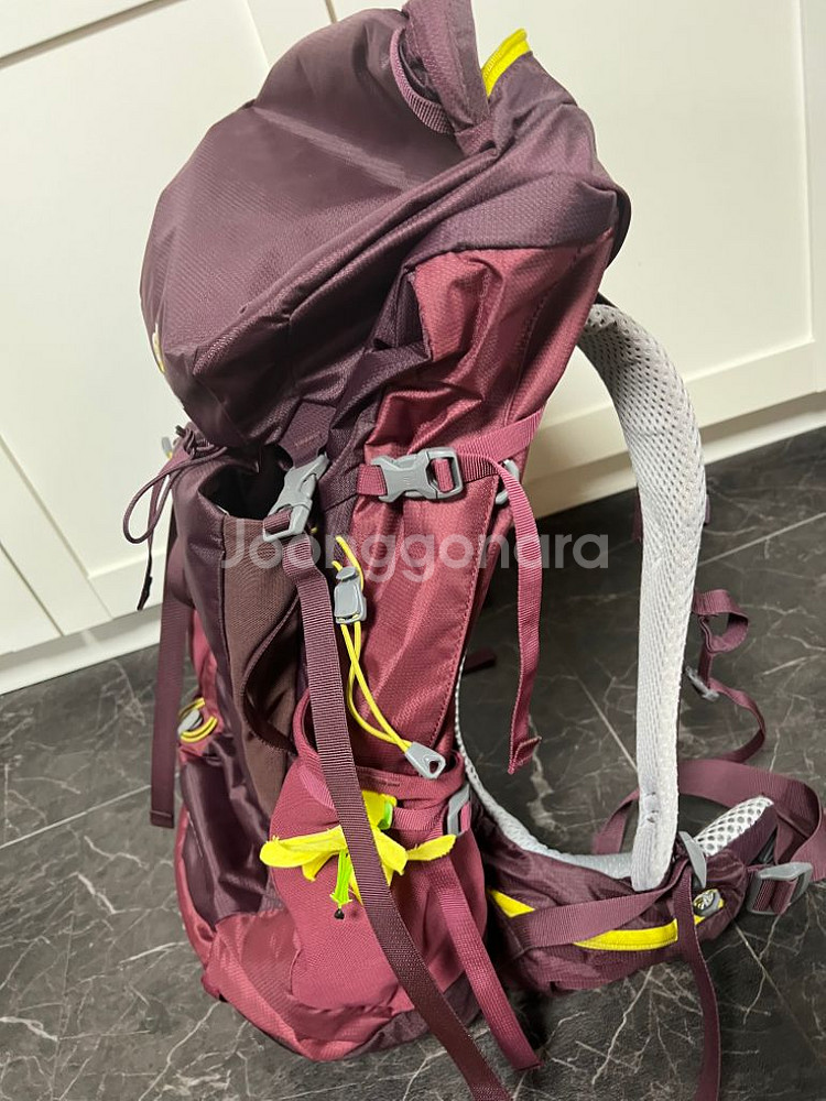 도이터푸트라프로34SL--2