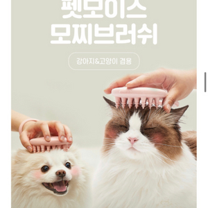 펫모이스 브러쉬 (댕냥이 빗)