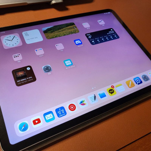 아이패드 프로 2세대 11인치 256G(가격 인하)