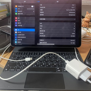 아이패드프로 3세대 셀 11 + 매직키보드+지니비 짭플