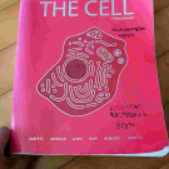 더 셀, The cell, 원서