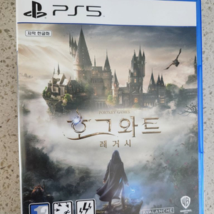 PS5(플스5) 호그와트 레거시 팝니다(코드사용)