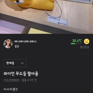 라이언 무드등