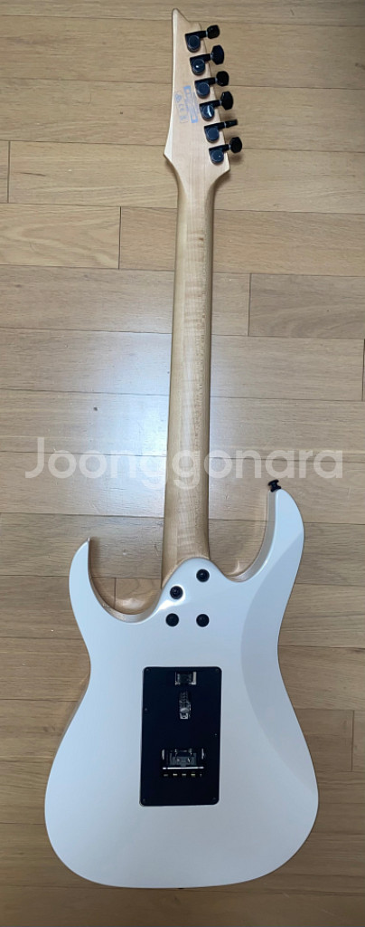 아이바네즈 rg350dxz--1
