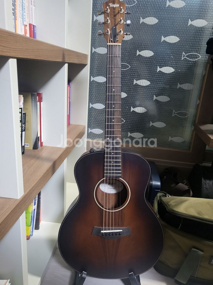 테일러 GS mini e-Koa Plus (ES-2)--0
