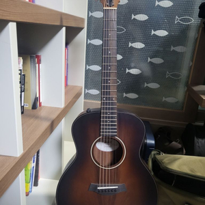 테일러 GS mini e-Koa Plus (ES-2)