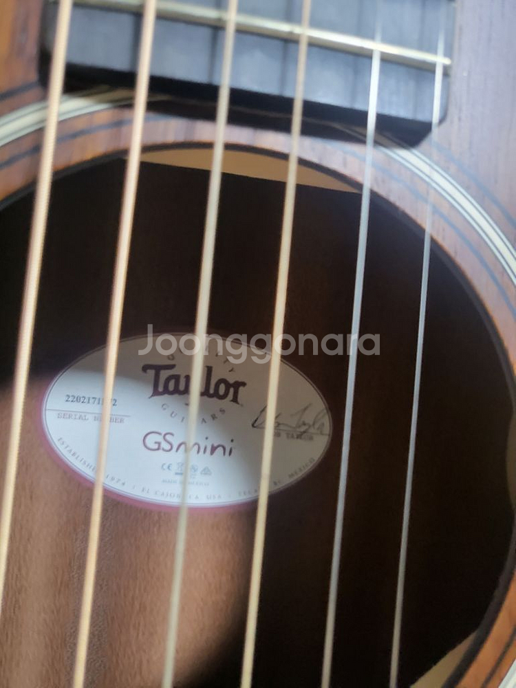 테일러 GS mini e-Koa Plus (ES-2)--1