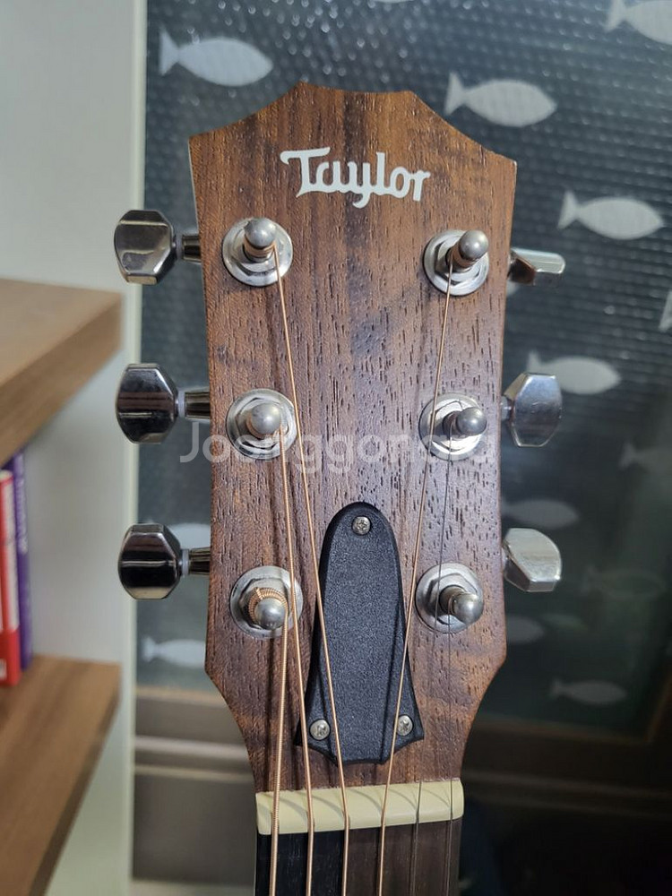 테일러 GS mini e-Koa Plus (ES-2)--2