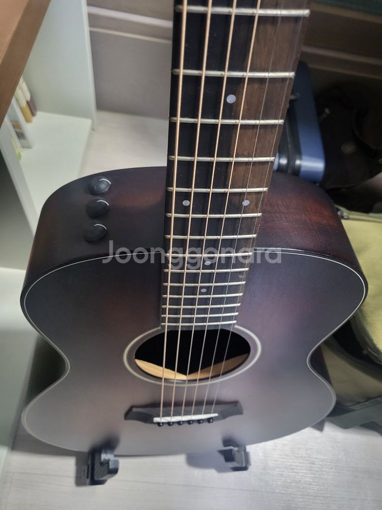 테일러 GS mini e-Koa Plus (ES-2)--3