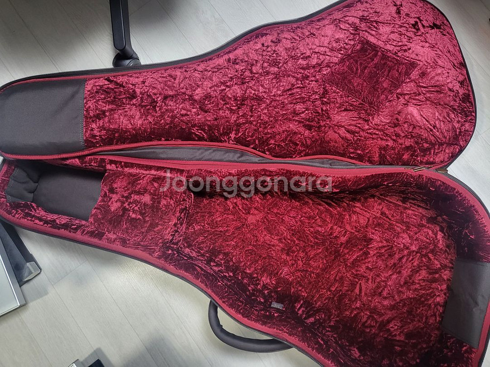 테일러 GS mini e-Koa Plus (ES-2)--6