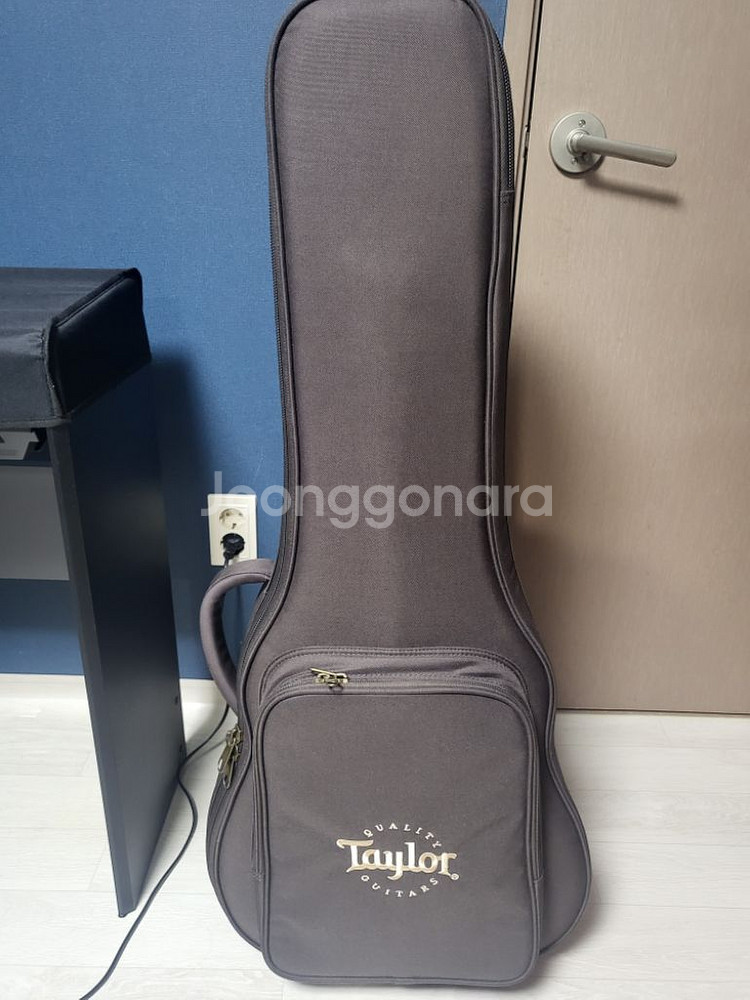 테일러 GS mini e-Koa Plus (ES-2)--5
