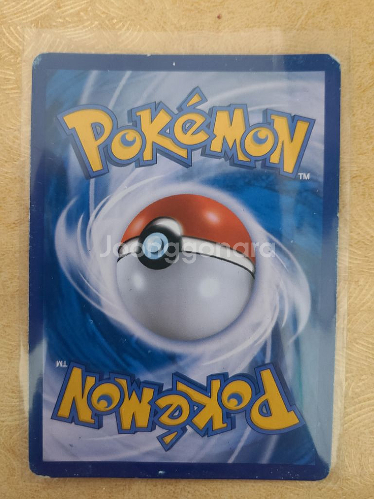 포켓몬카드 메가 샤크니아 EX--1