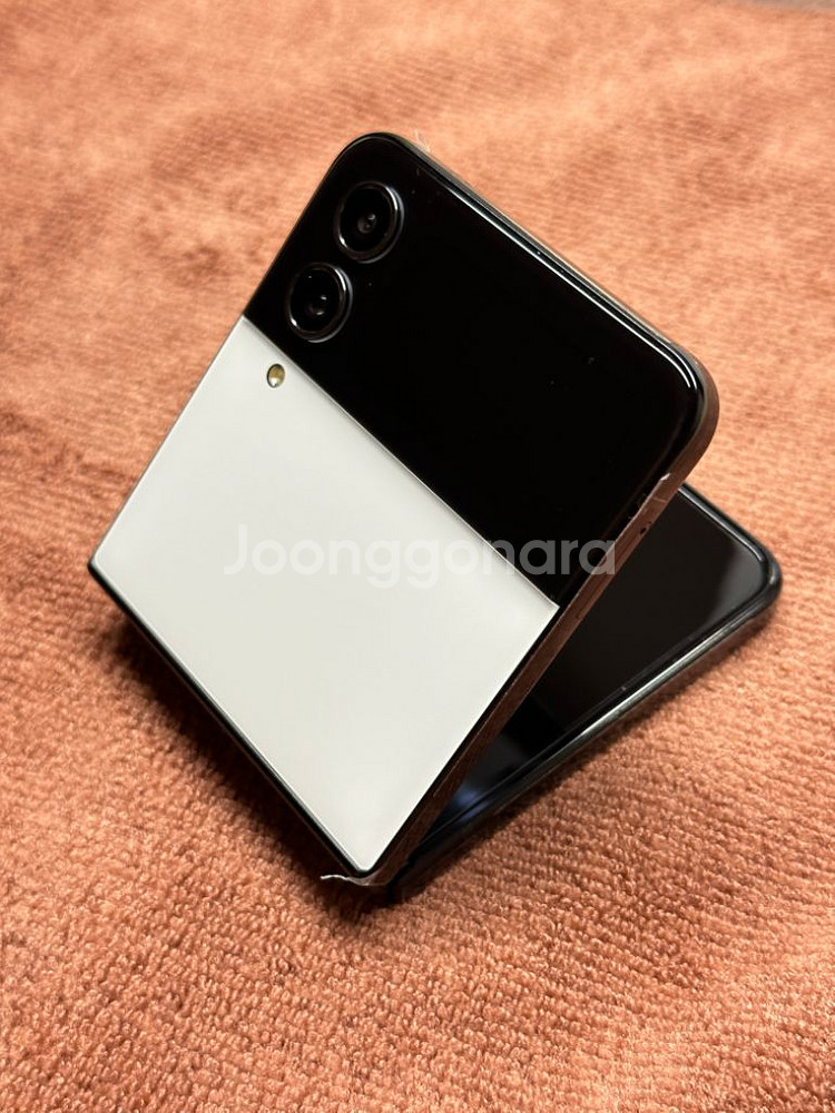 갤럭시Z 플립4 비스포크 범고래 에디션 512GB--3
