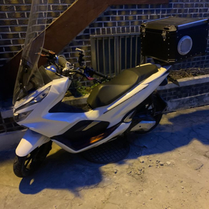 pcx125 19년