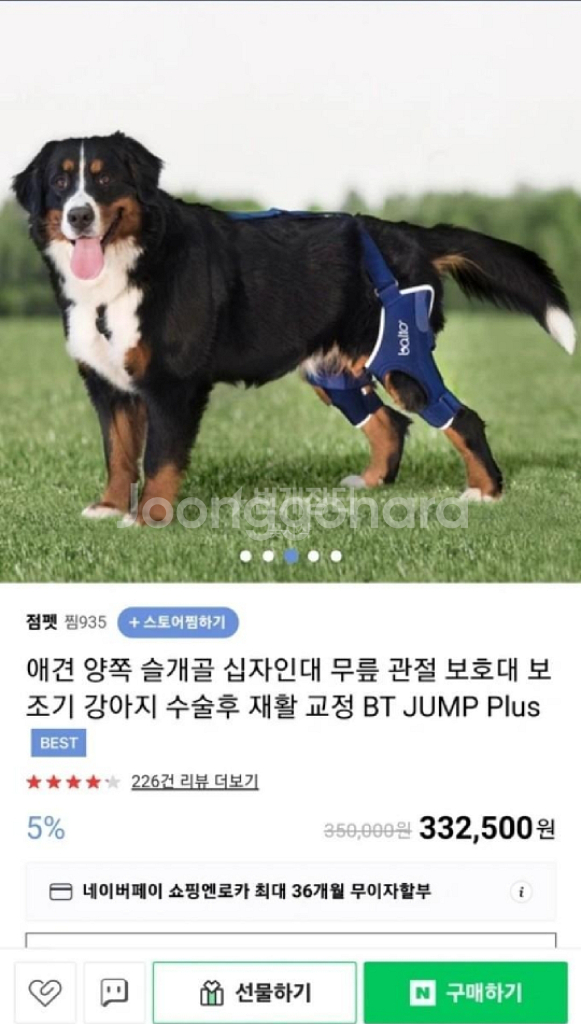 바토 슬개골보호대--1