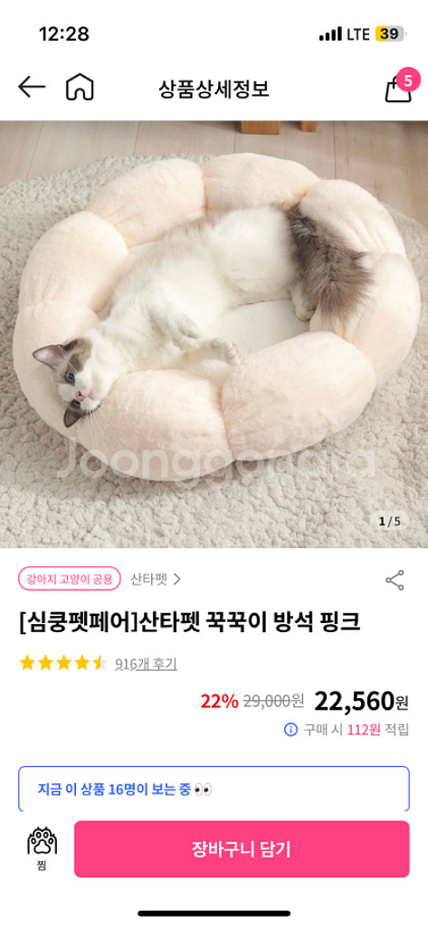 교신가능 산타펫 꾹꾹이 방석 거의 새것 판매합니다!--0