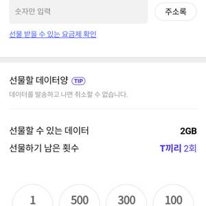 skt데이터 2기가
