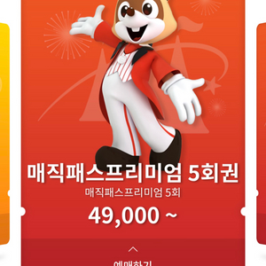 롯데월드매직패스