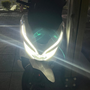 pcx 20년식