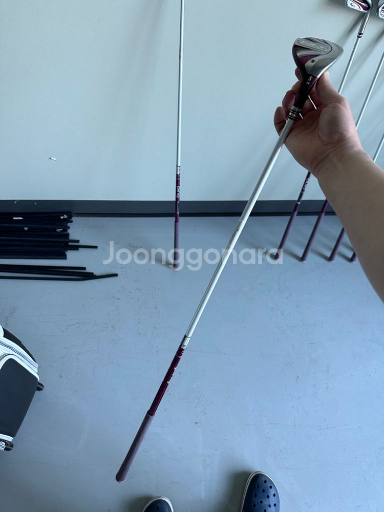 PING 핑 gle 여성용 골프채 드라이버 아이언 퍼터--4