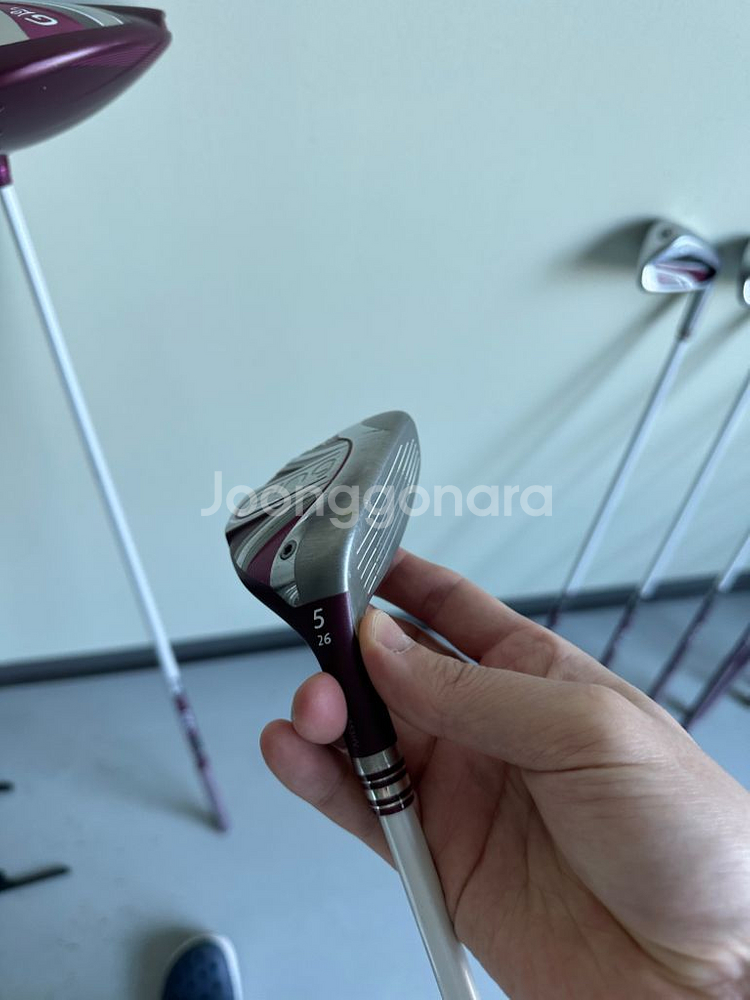 PING 핑 gle 여성용 골프채 드라이버 아이언 퍼터--5