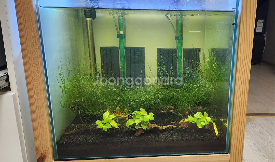 45큐브 축양장판매해요.--1