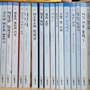 시공주니어 독서레벨 3단계 46권