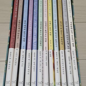 열두개의달시화집 세트